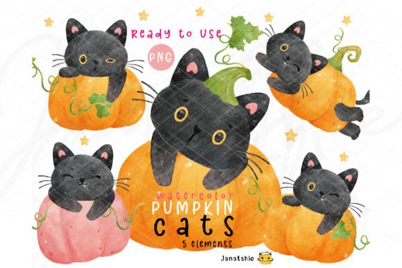 Download Funny Black Cat in Pumpkin Watercolor - Funny Collection